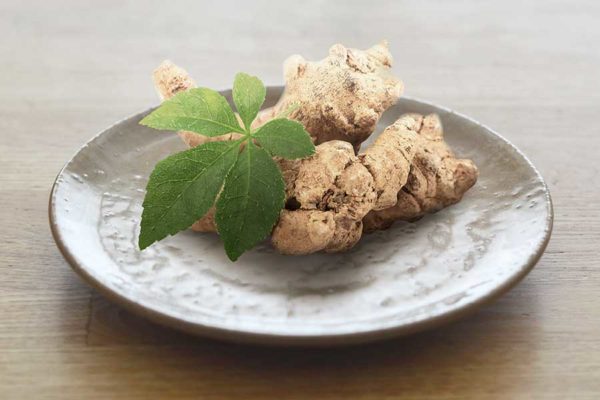 薬用人参の王様「三七人参」について